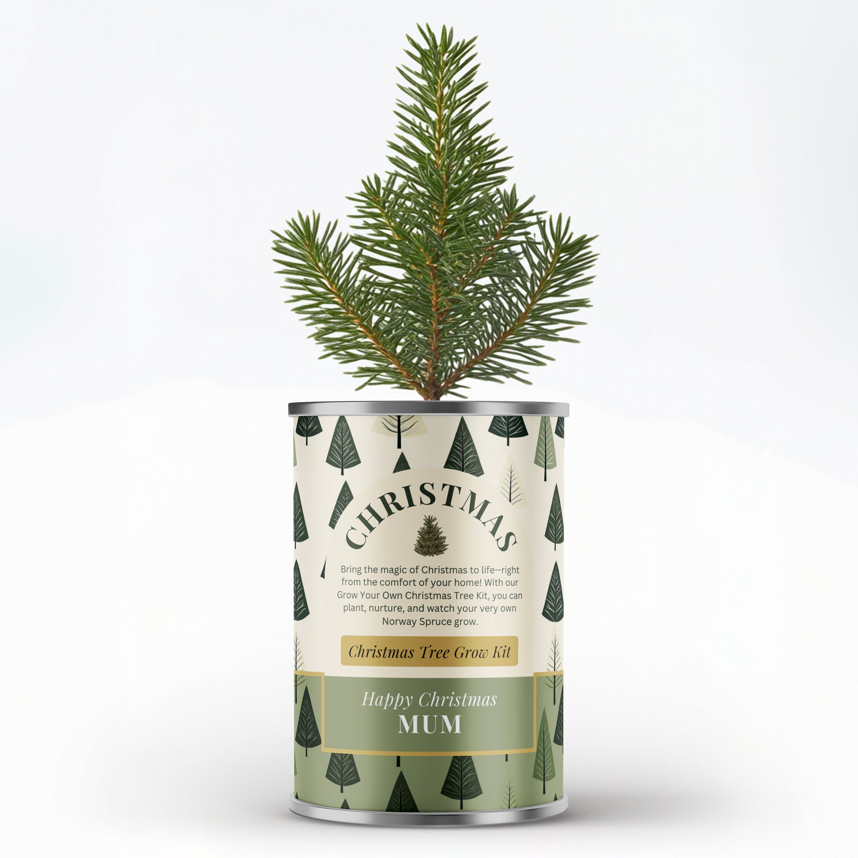 Grow Your Own Christmas Tree Tin - Secret Santa Gift | Personalise Me Main image