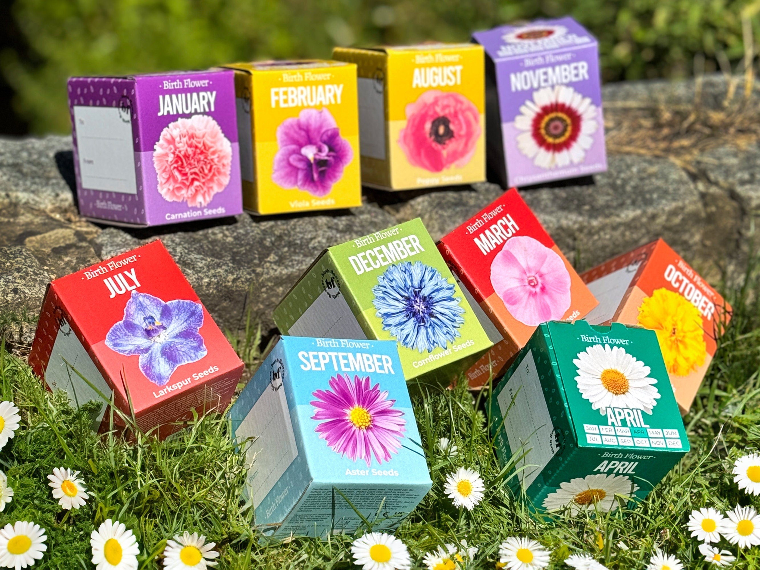 Grow Your Own Birth Flower Personalised Name Gift Main image