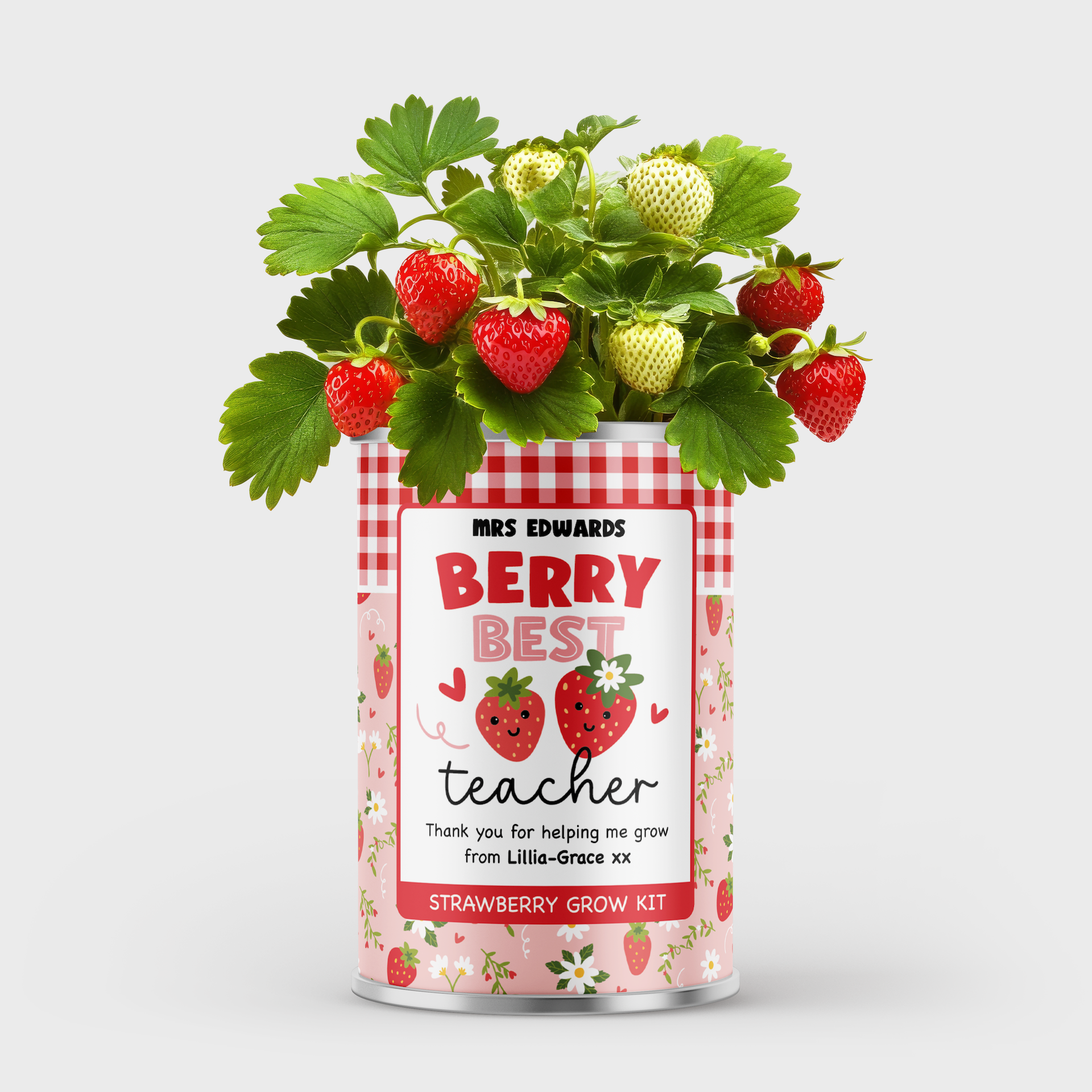 Personalised Teacher Gift - Grow Your Own Strawberries Main image