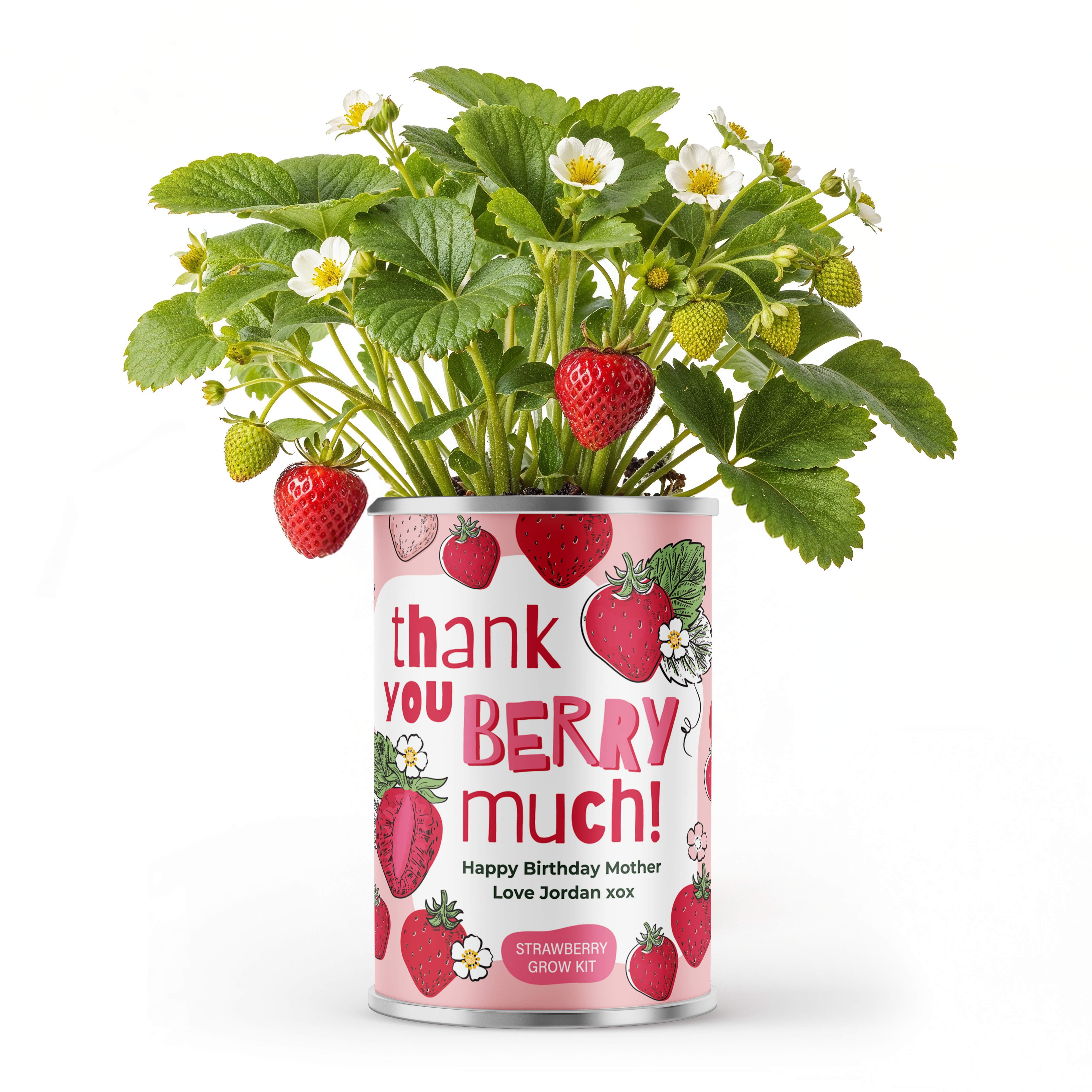 Thank You Berry Much Tin - Grow Your Own Berries | Personalise Me | Thank You Gift Main image