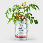 Personalised Grow Your Own Allotment Vegetables in a Tin