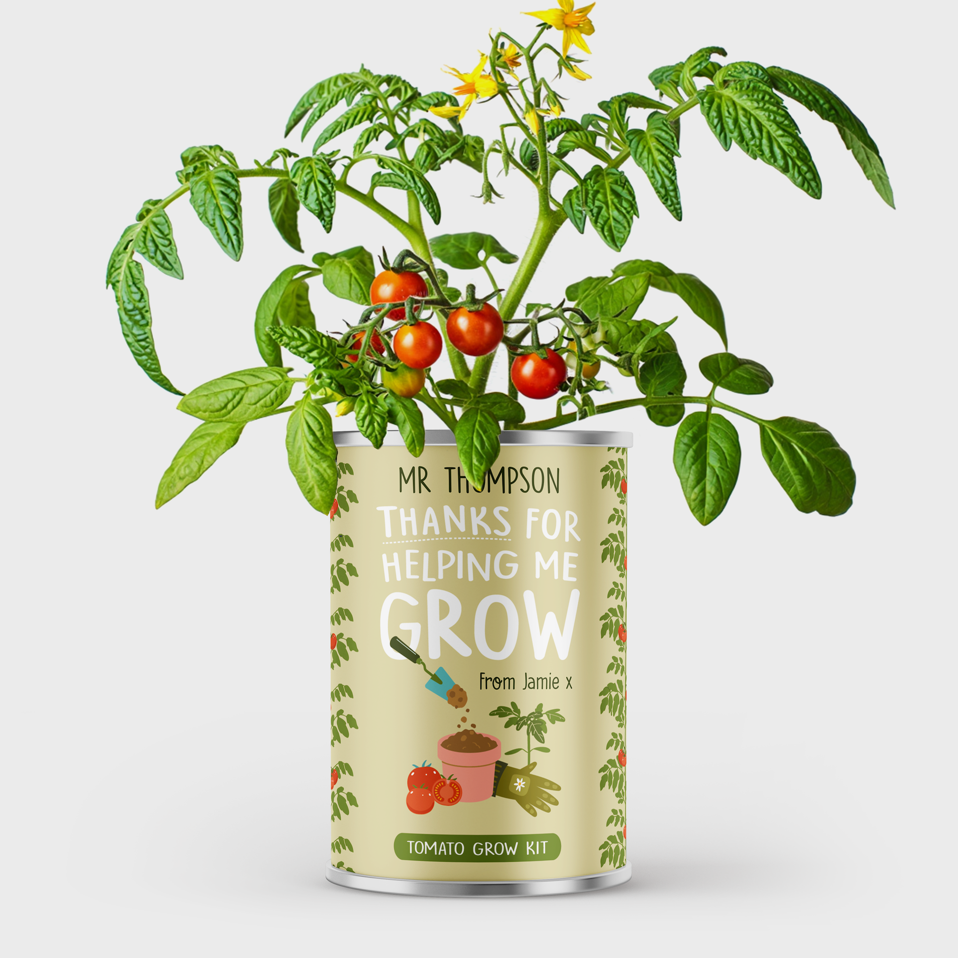 Personalised Teacher Gift - Grow Your Own Tomatoes Main image
