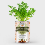 Personalised Growing Steady Carrots Tin - Birthday Gift For Him | Grow Your Own Carrots
