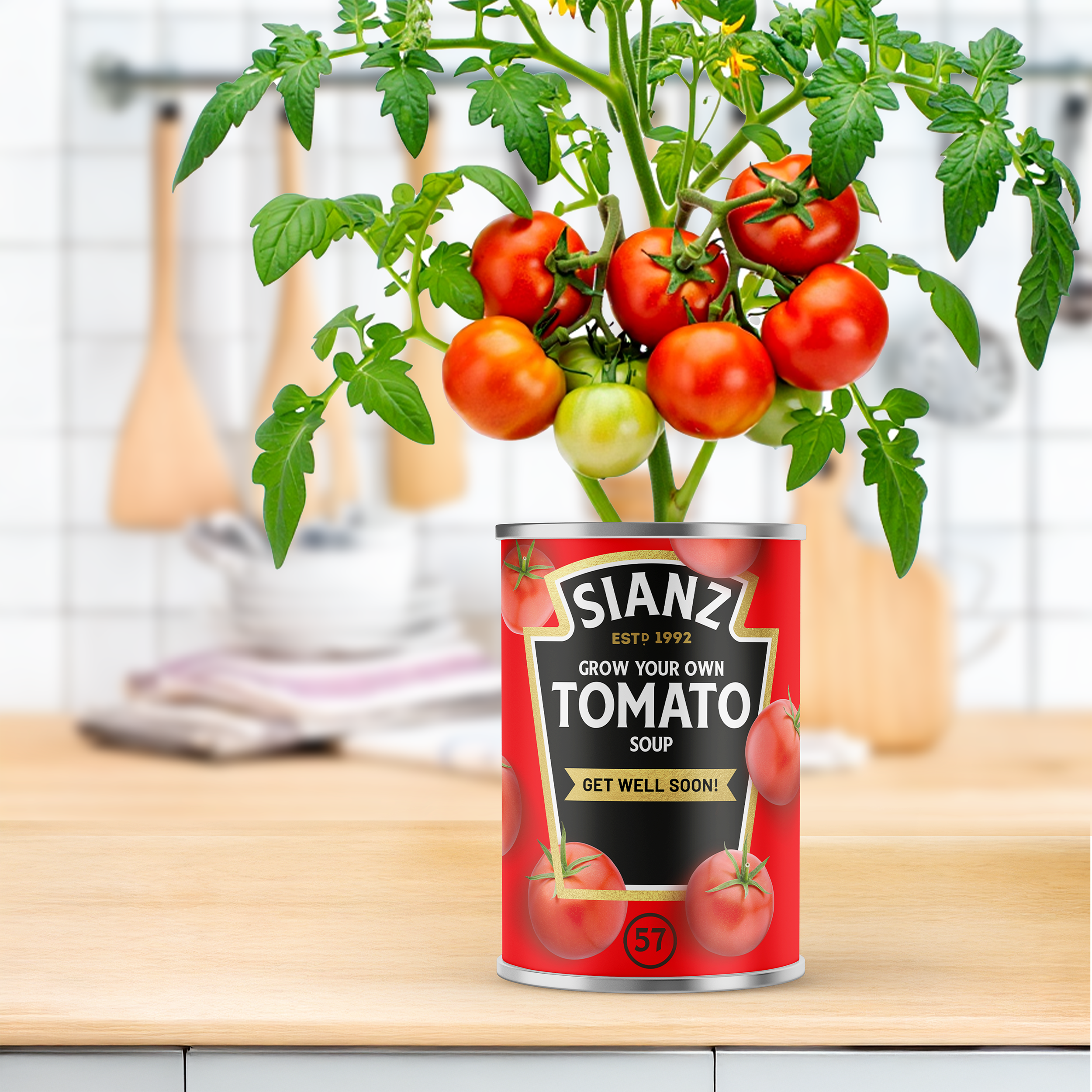 Grow Your Own Tomato Soup Tin - Get Well Soon Gift | Personalise Me Main image