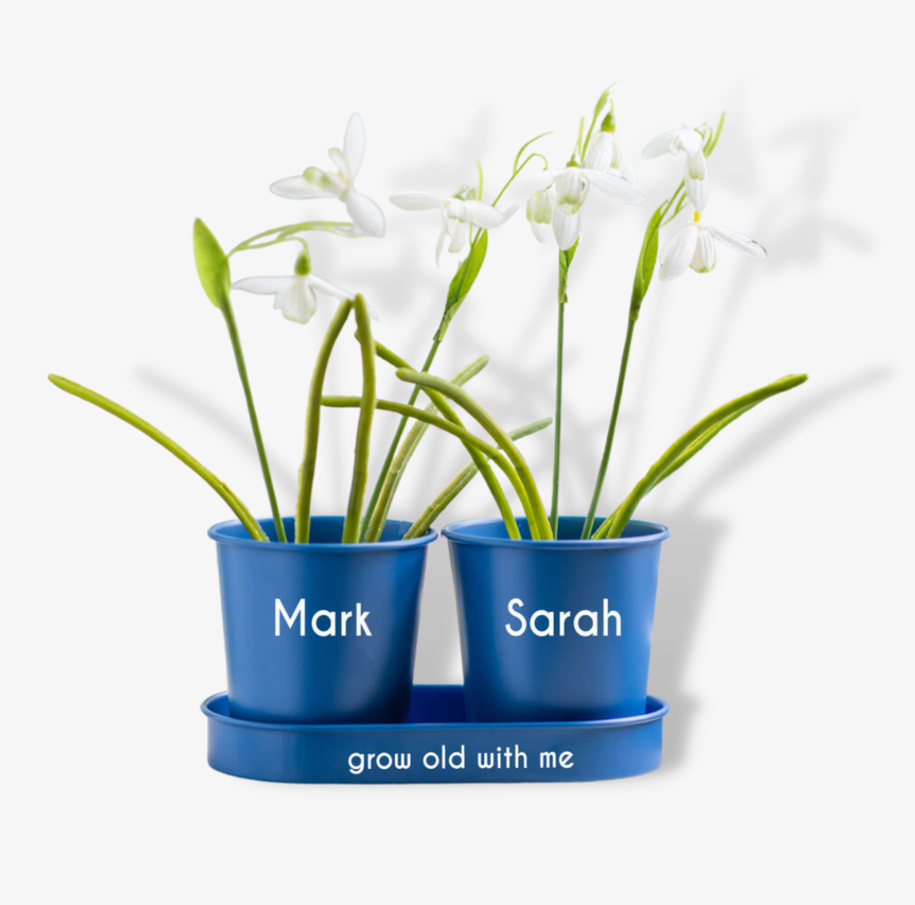 Personalised Metal Blue Double Planter