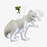 Plantosaurus Rex Vase
