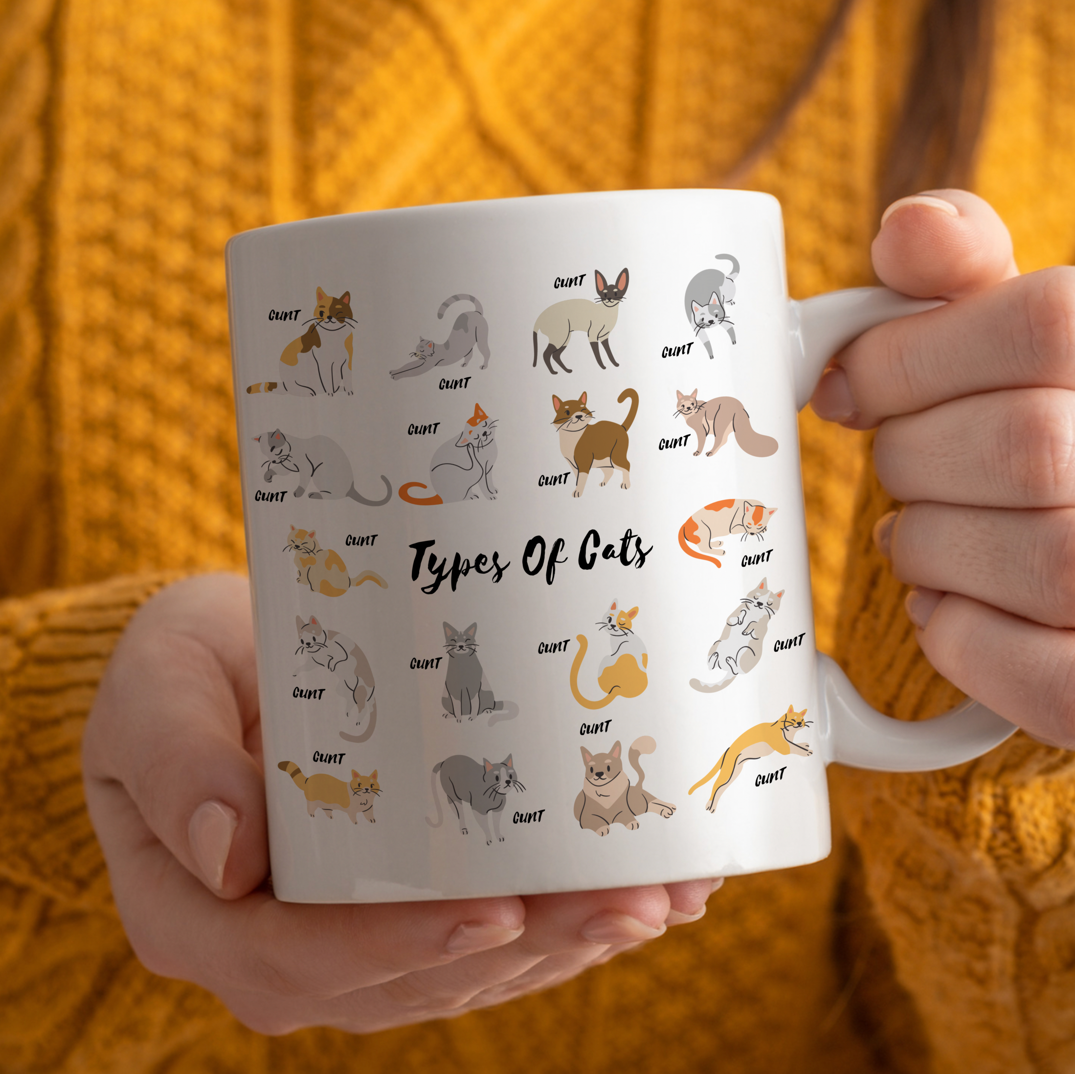 Types Of Cats Mug