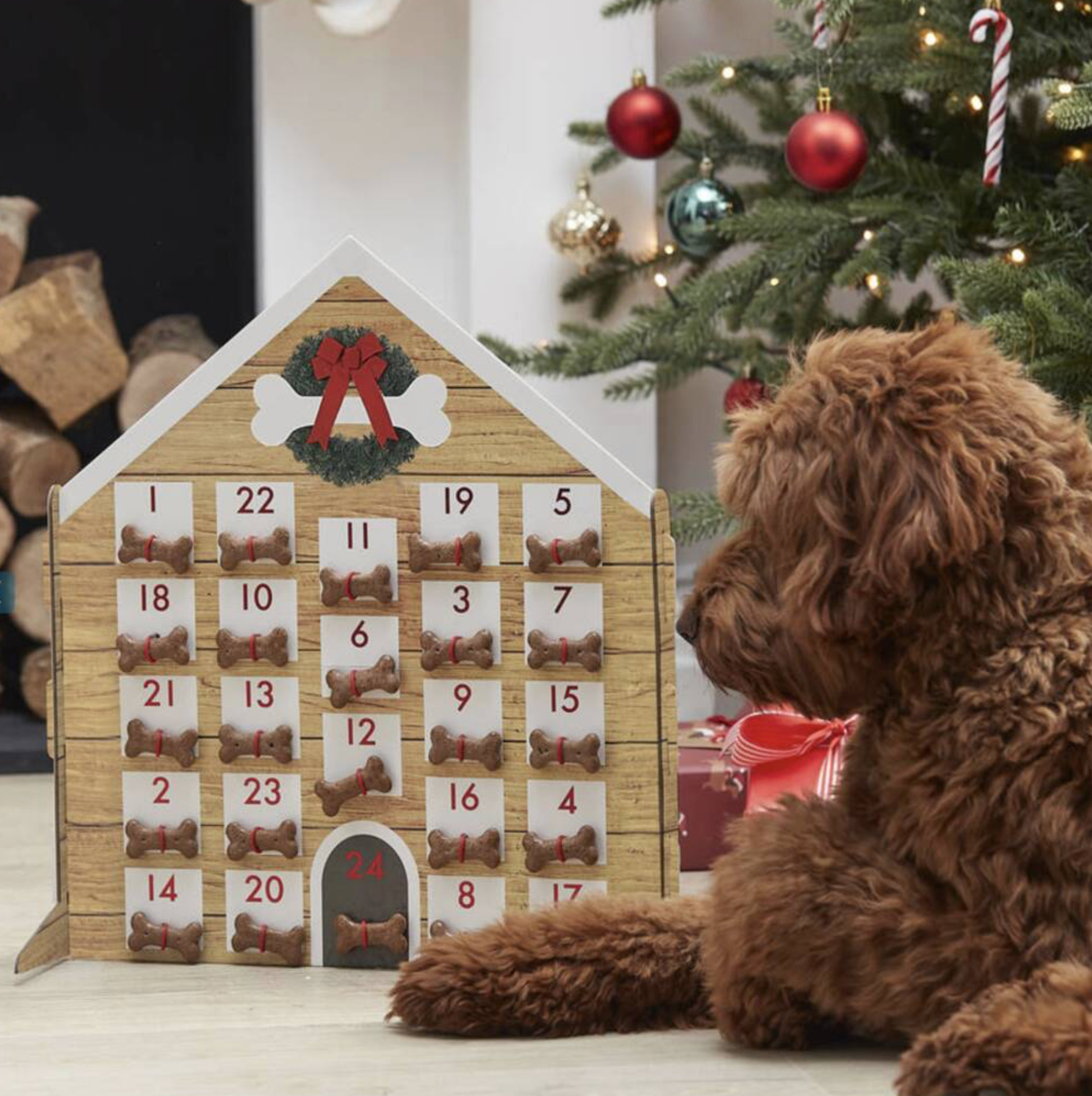 Refillable Dog Biscuit Advent Countdown