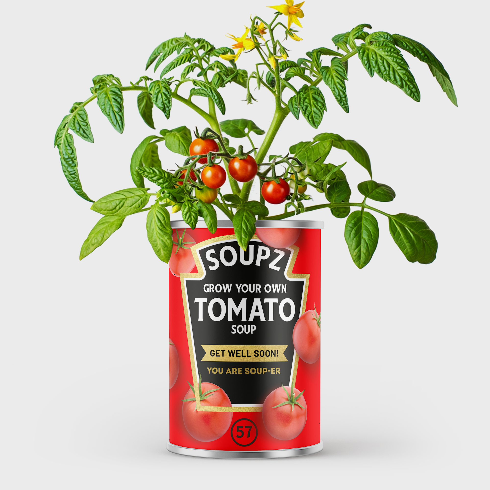 Grow Your Own Tomato Soup Tin - Get Well Soon Gift Main image