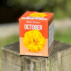 Grow Your Own Birth Flower Gift - Zodiac Gift | Gift for Mum | Gift for Grandma | Personalise Me