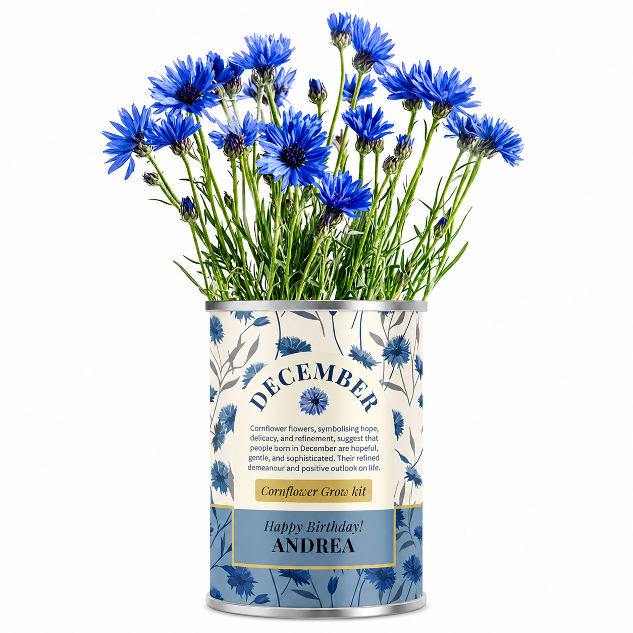 December Birth Flower - Personalised Grow Your Own Flower Gift