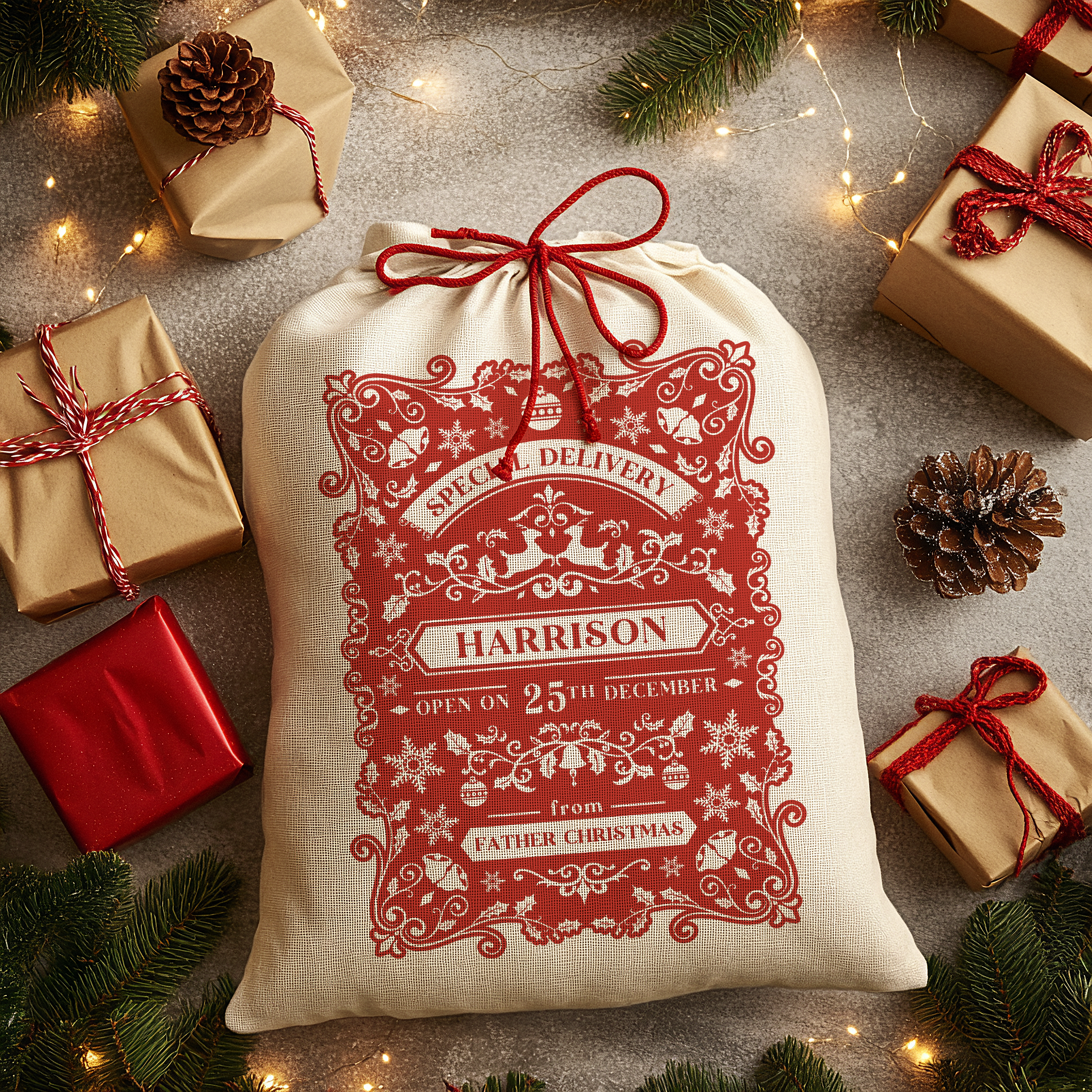 Personalised Christmas Sack - Special Delivery Design | Christmas Sack for Kids | Large | Red Main image