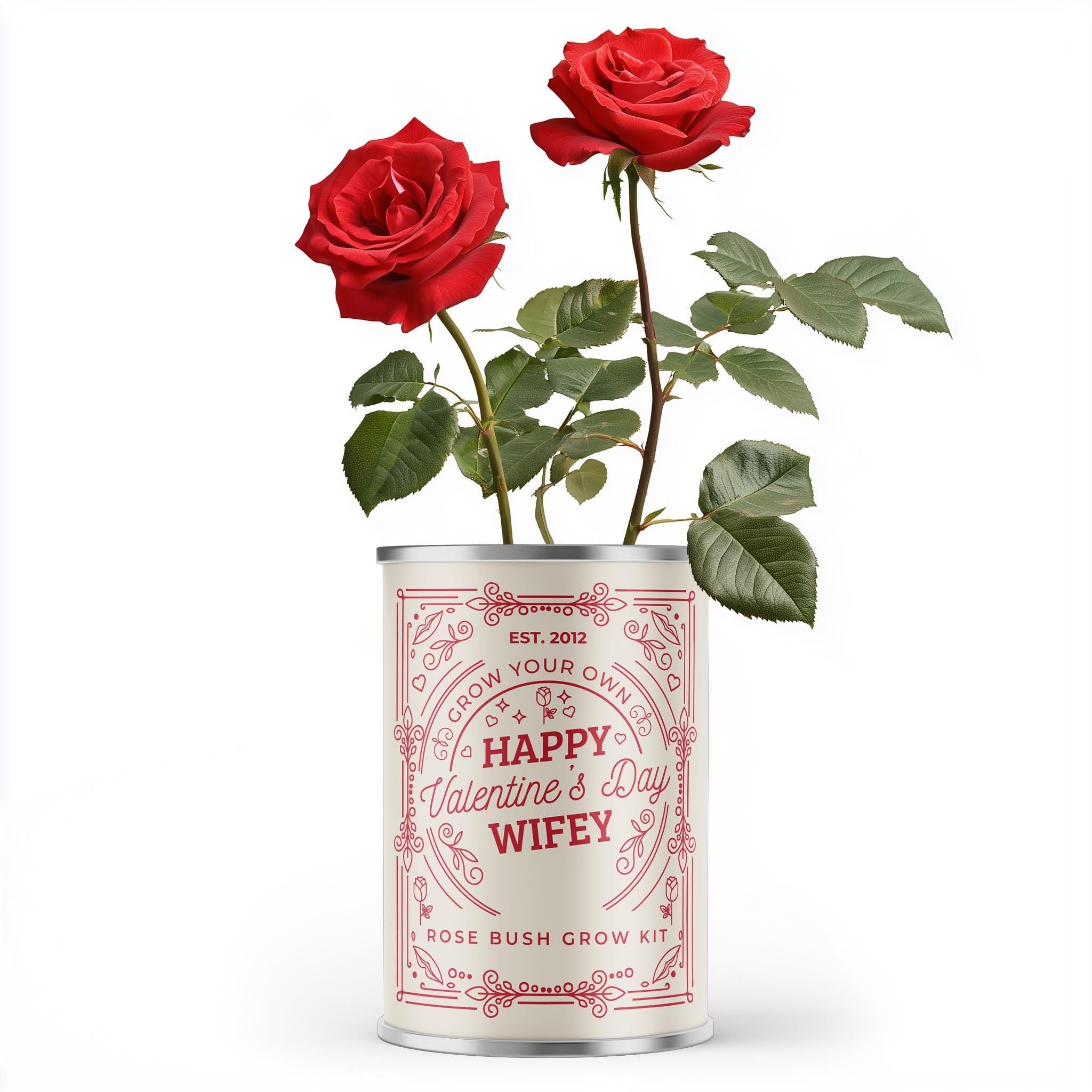 valentines gift Main image