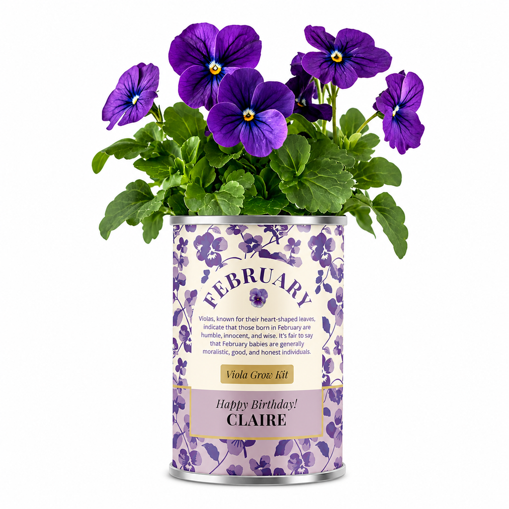 February Birth Flower - Personalised Grow Your Own Flower Gift