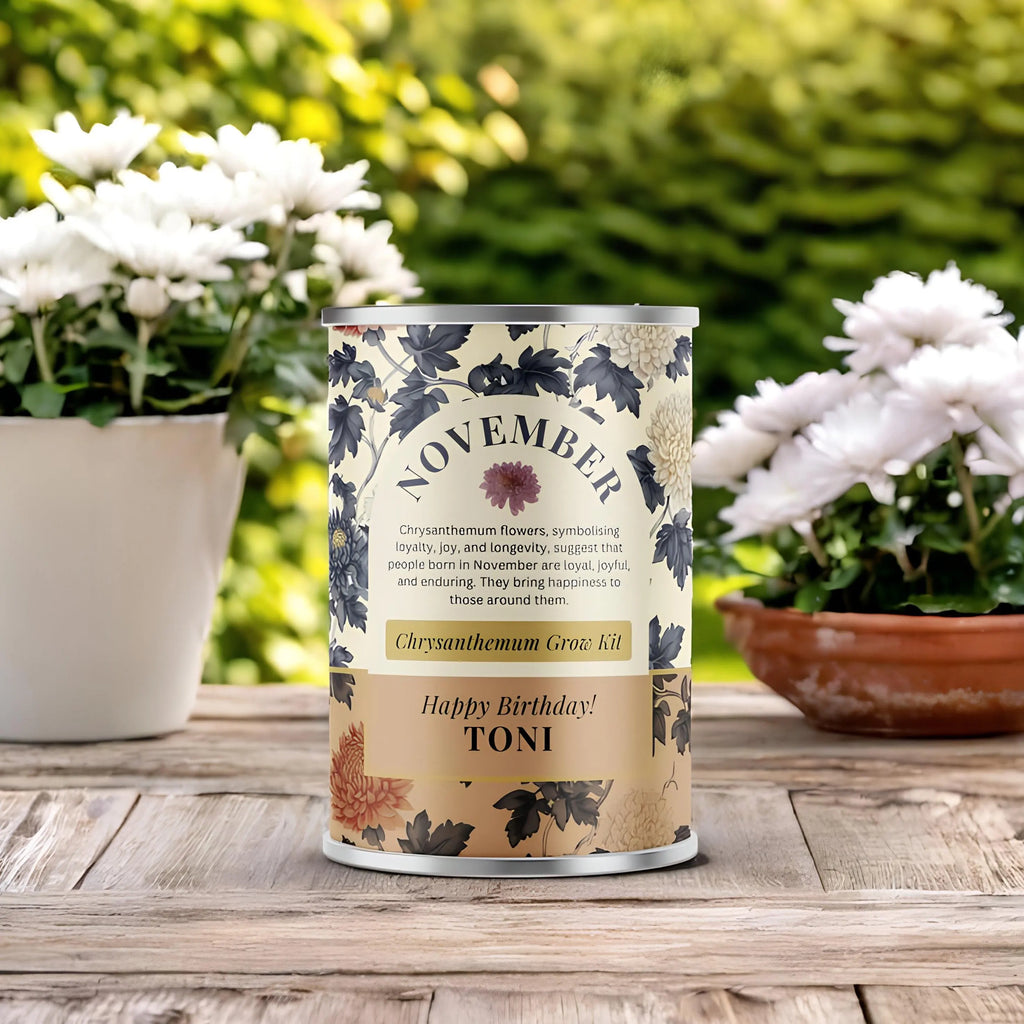 November Birth Flower - Personalised Grow Your Own Flower Gift