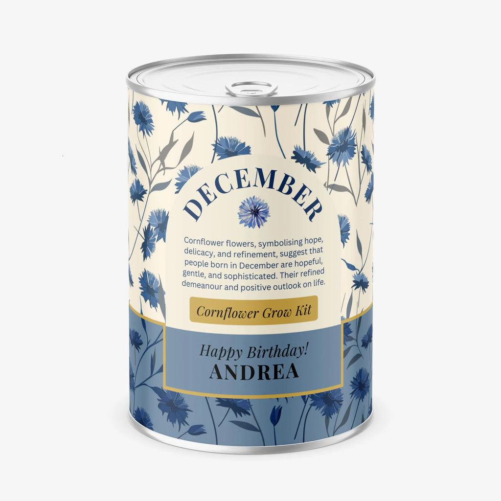 December Birth Flower - Personalised Grow Your Own Flower Gift