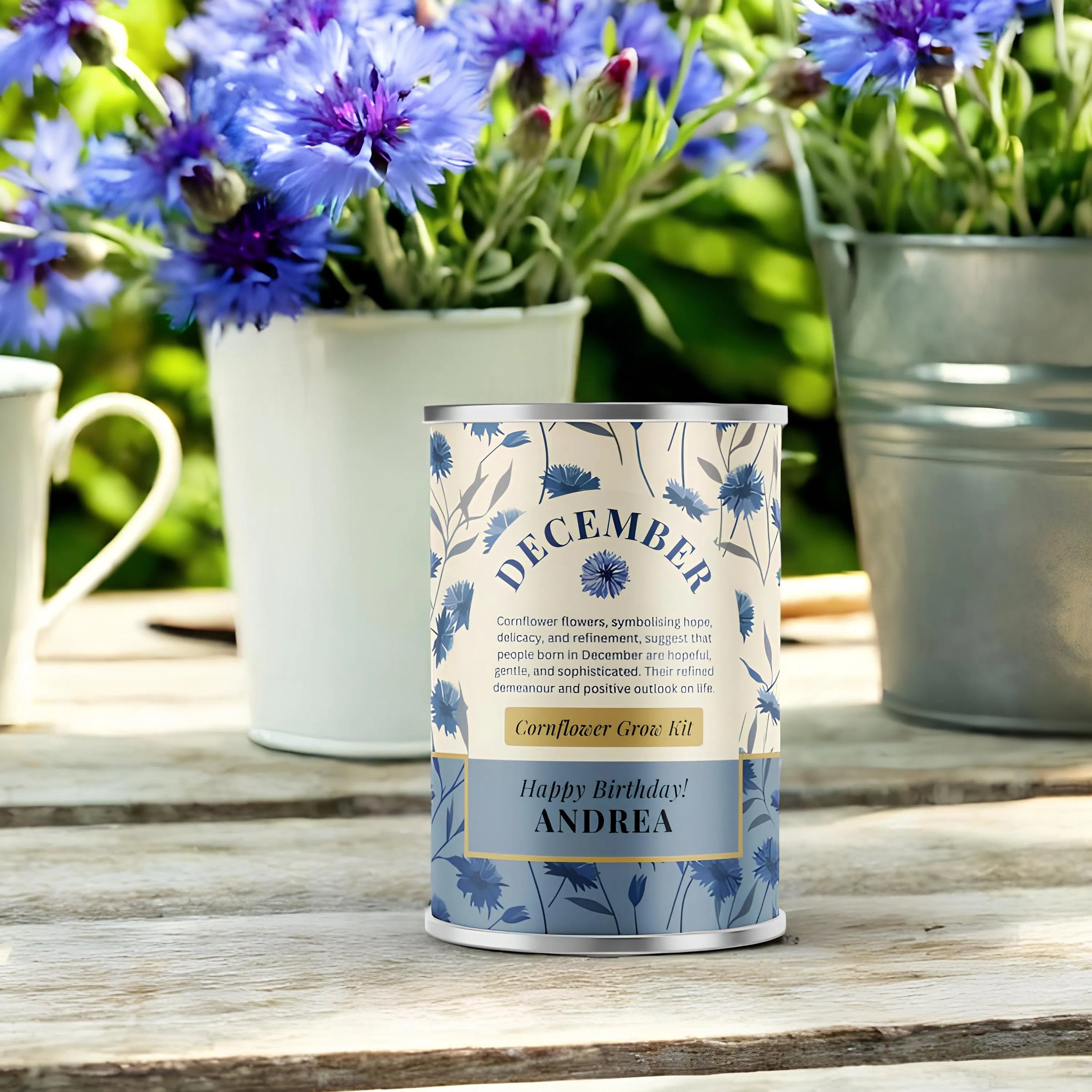 December Birth Flower - Personalised Grow Your Own Flower Gift