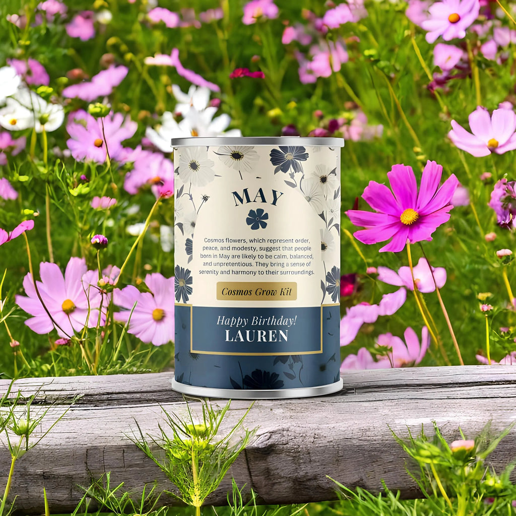 May Birth Flower - Personalised Grow Your Own Flower Gift