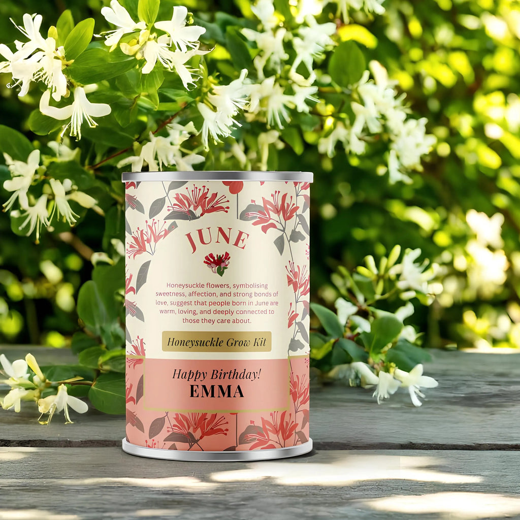 June Birth Flower - Personalised Grow Your Own Flower Gift