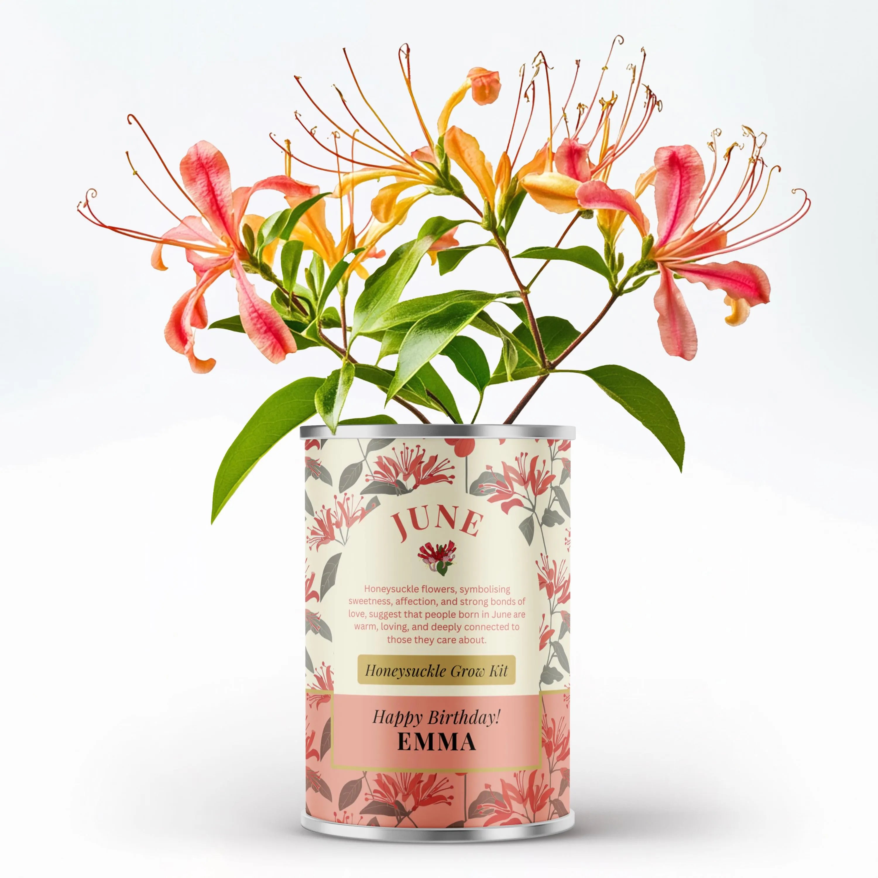 June Birth Flower - Personalised Grow Your Own Flower Gift Main image