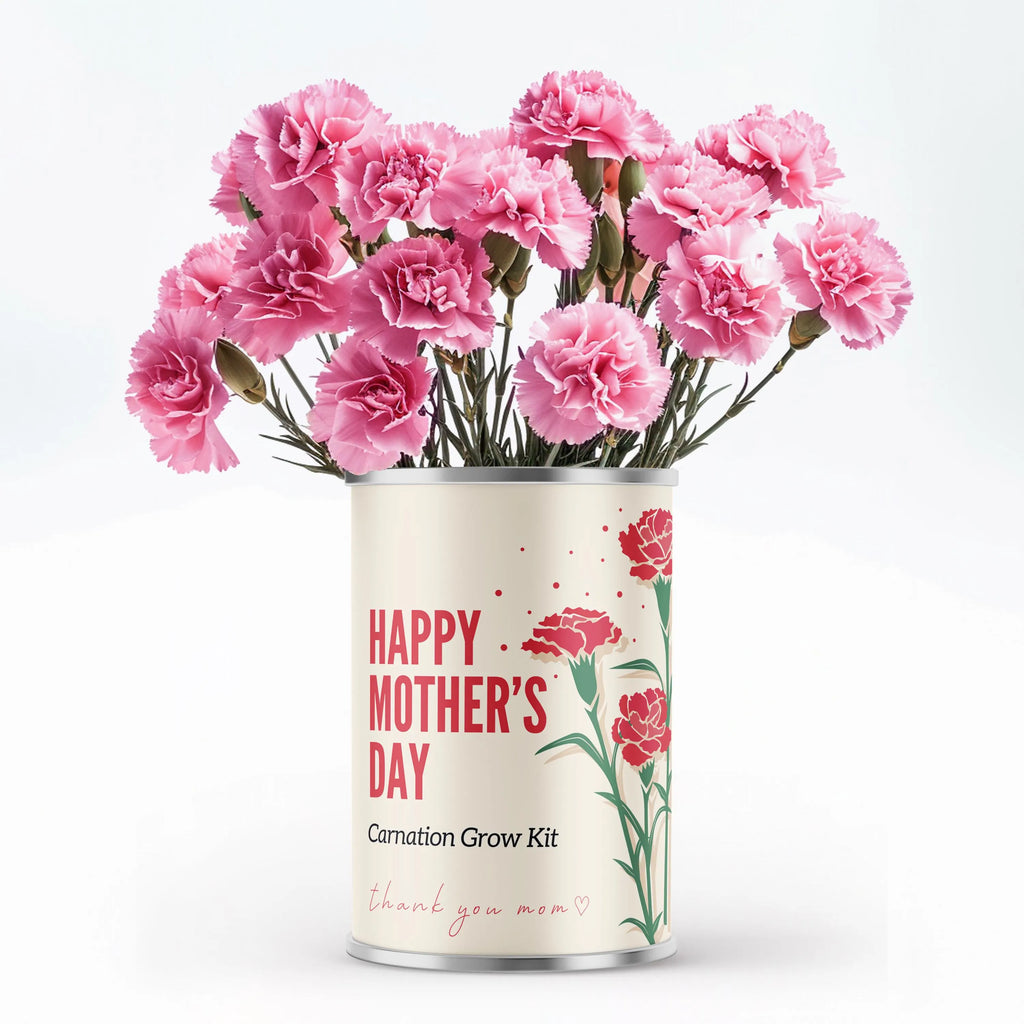 Mother's Day Grow Your Own Carnation Flowers Tin