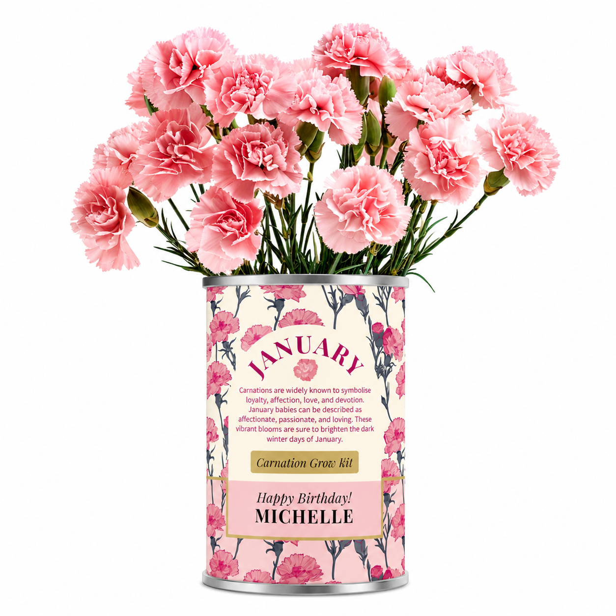 January Birth Flower - Personalised Grow Your Own Flower Gift Main image