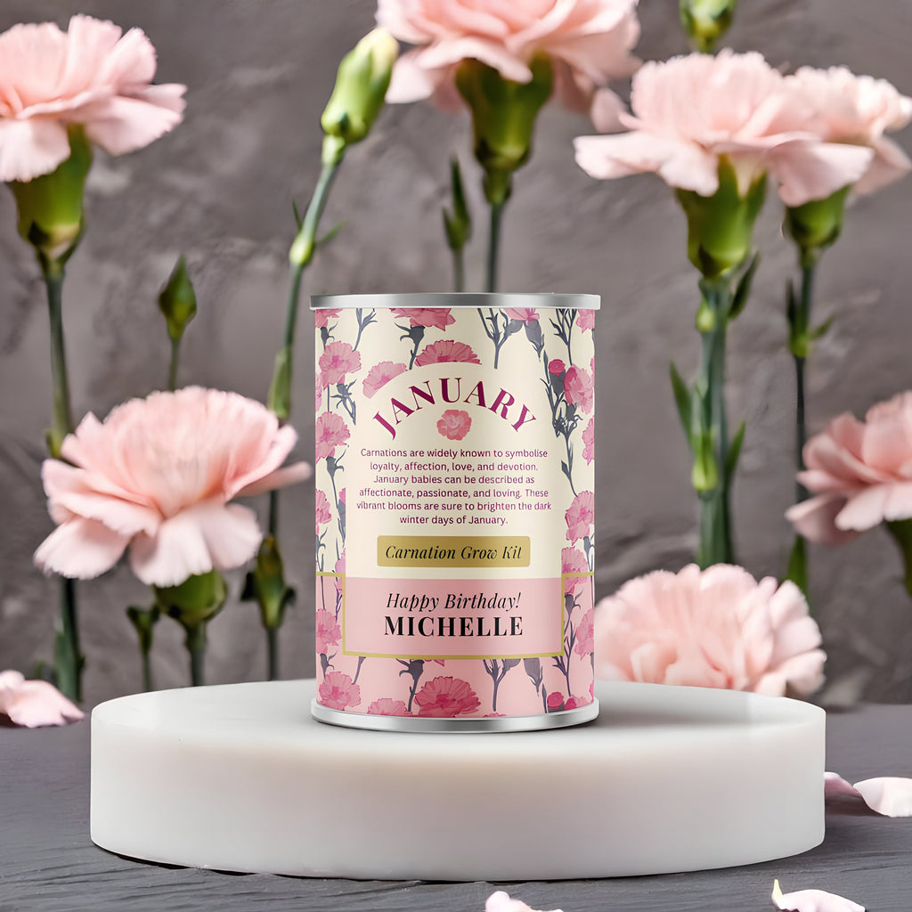 January Birth Flower - Personalised Grow Your Own Flower Gift