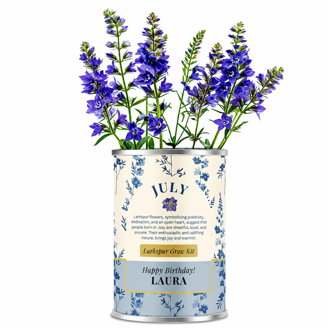 July Birth Flower - Personalised Grow Your Own Flower Gift Main image