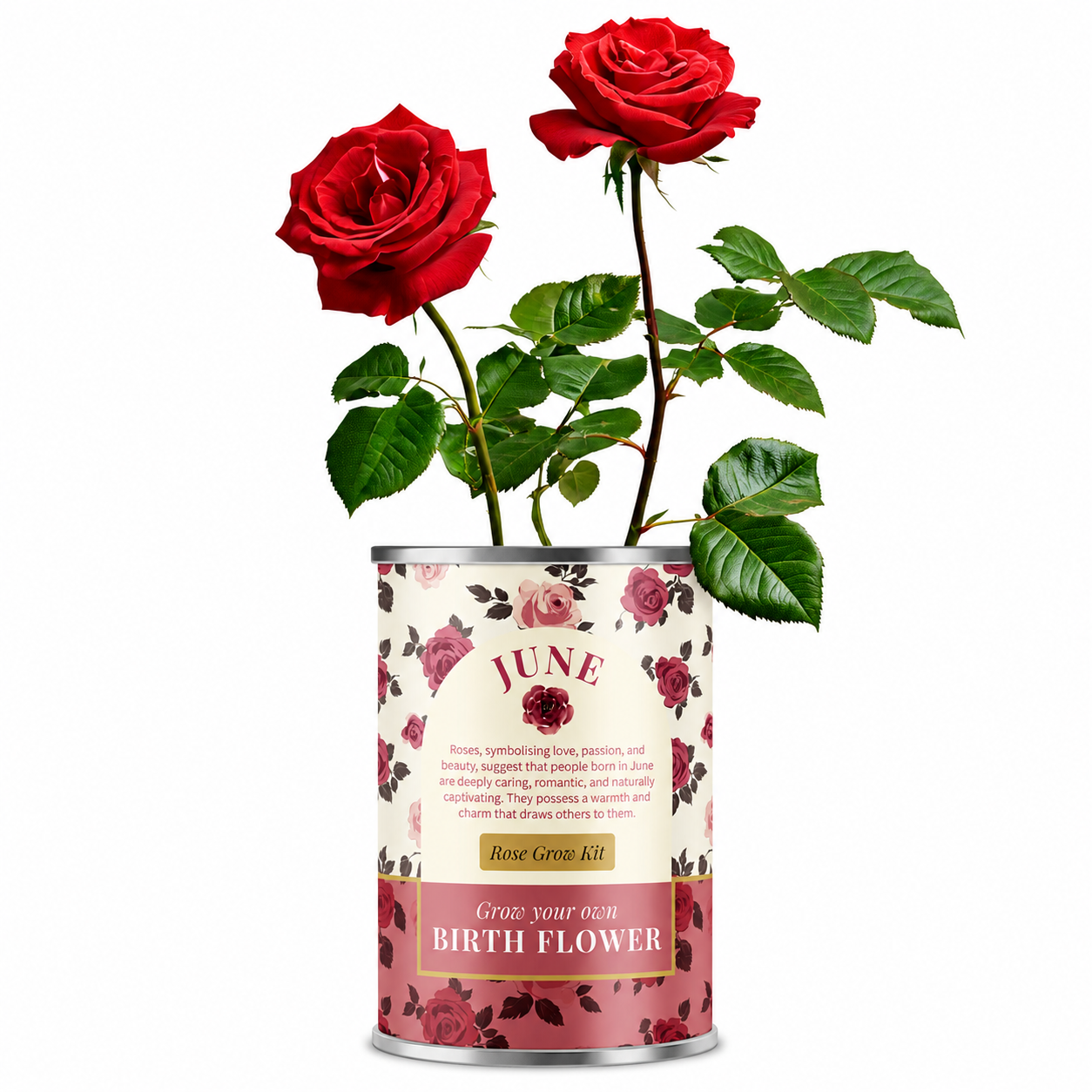 June Birth Flower - Personalised Grow Your Own Flower Gift Main image
