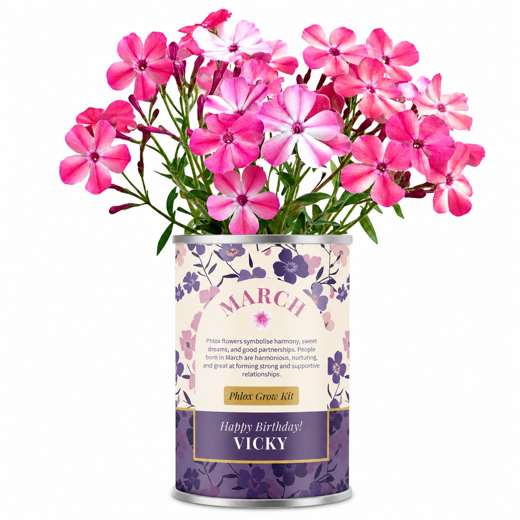 March Birth Flower - Personalised Grow Your Own Flower Gift