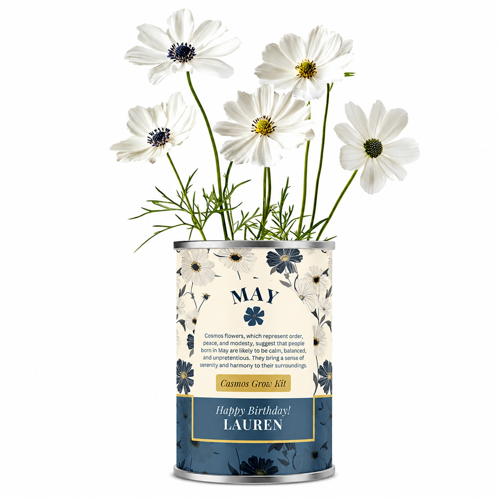 May Birth Flower - Personalised Grow Your Own Flower Gift