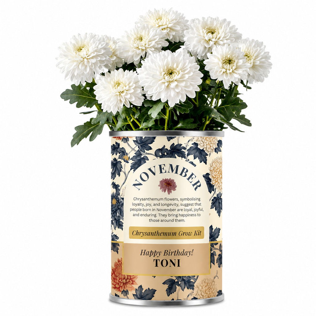 November Birth Flower - Personalised Grow Your Own Flower Gift
