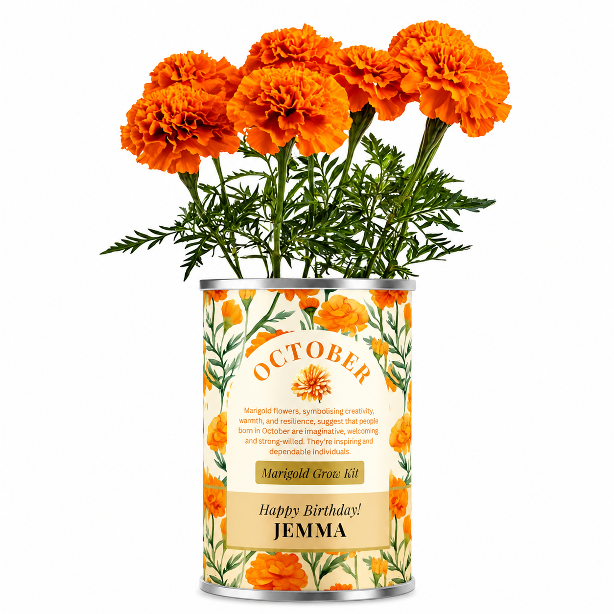 October Birth Flower - Personalised Grow Your Own Flower Gift Main image