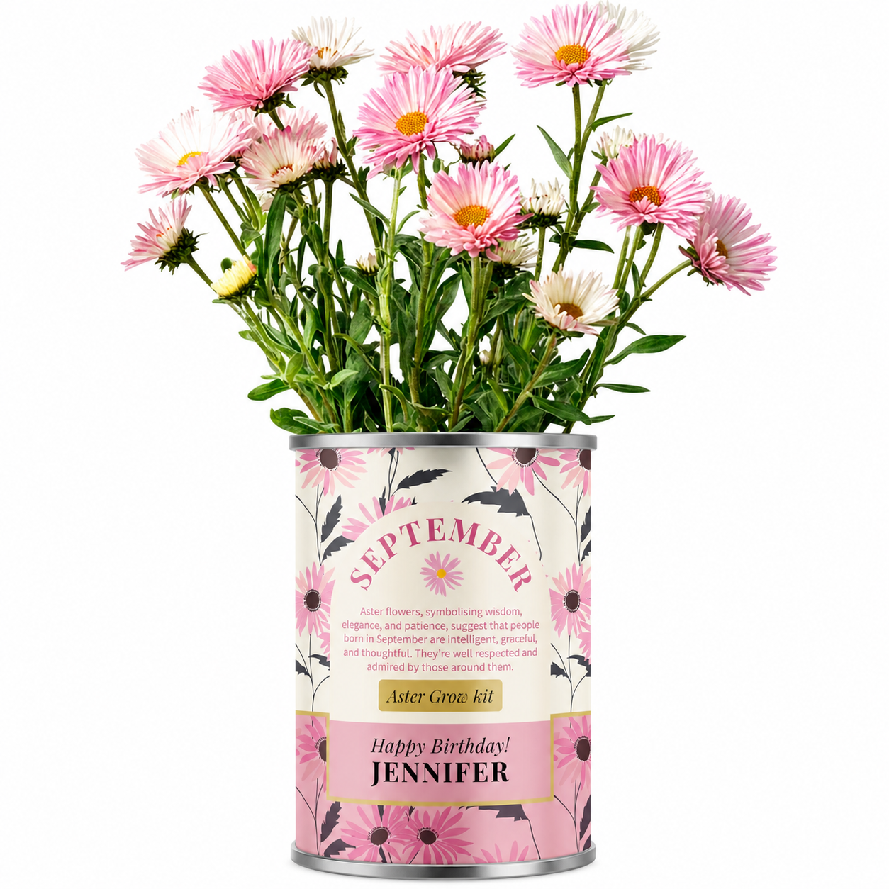 September Birth Flower - Personalised Grow Your Own Flower Gift Main image