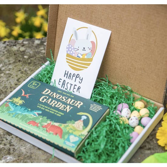 Personalised Childs Letterbox Dinosaur Garden Gift