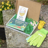 Personalised Childs Letterbox Dinosaur Garden Gift