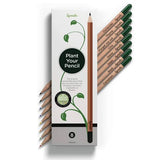 Pack Of Eight Mixed Sprouting Seed Pencils