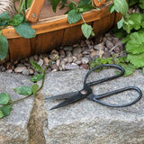 Metal Gift Boxed Gardening Scissors