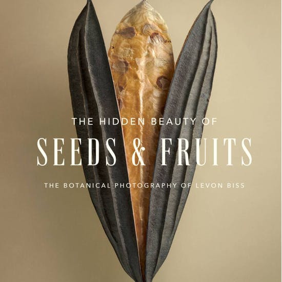 Book Of The Hidden Beauty Of Seeds And Fruits