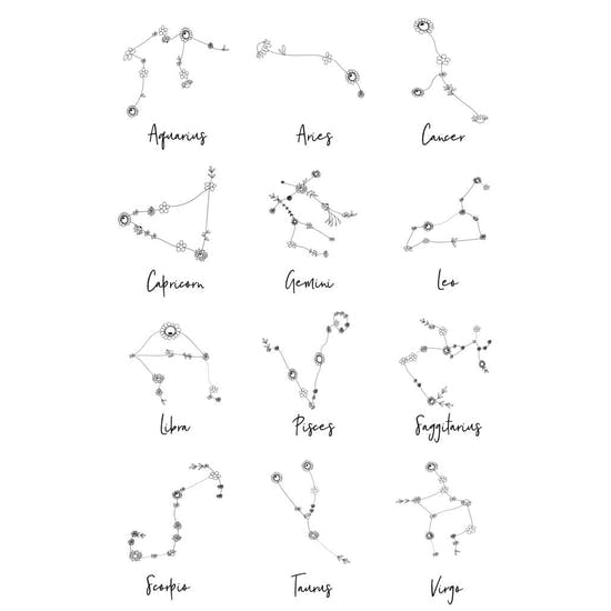 Floral Star Constellation Travel Case