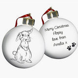 Personalised Pet Bauble Decoration
