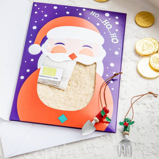 Grow Your Own Santa Beard Christmas Card