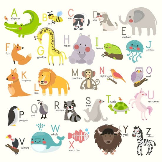 Personalised Alphabet Animal Name Stool for Children