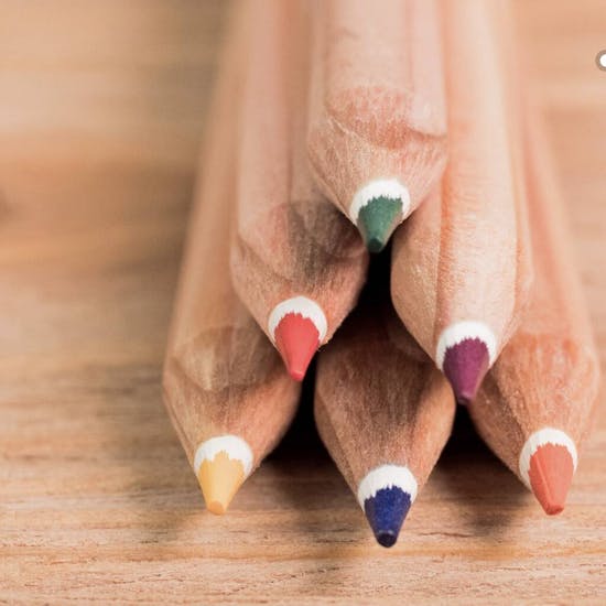 Eight Childrens Sprout Seed Colouring Pencils