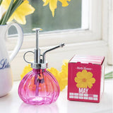 Grow Your Own Birth Flower With Glass Mister