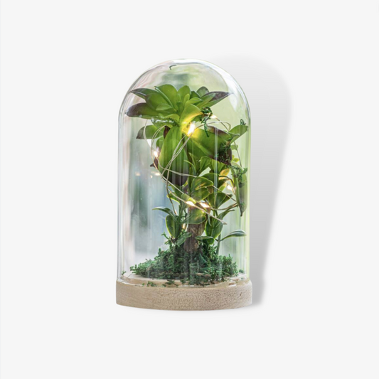 Faux Plant LED Light Terrarium