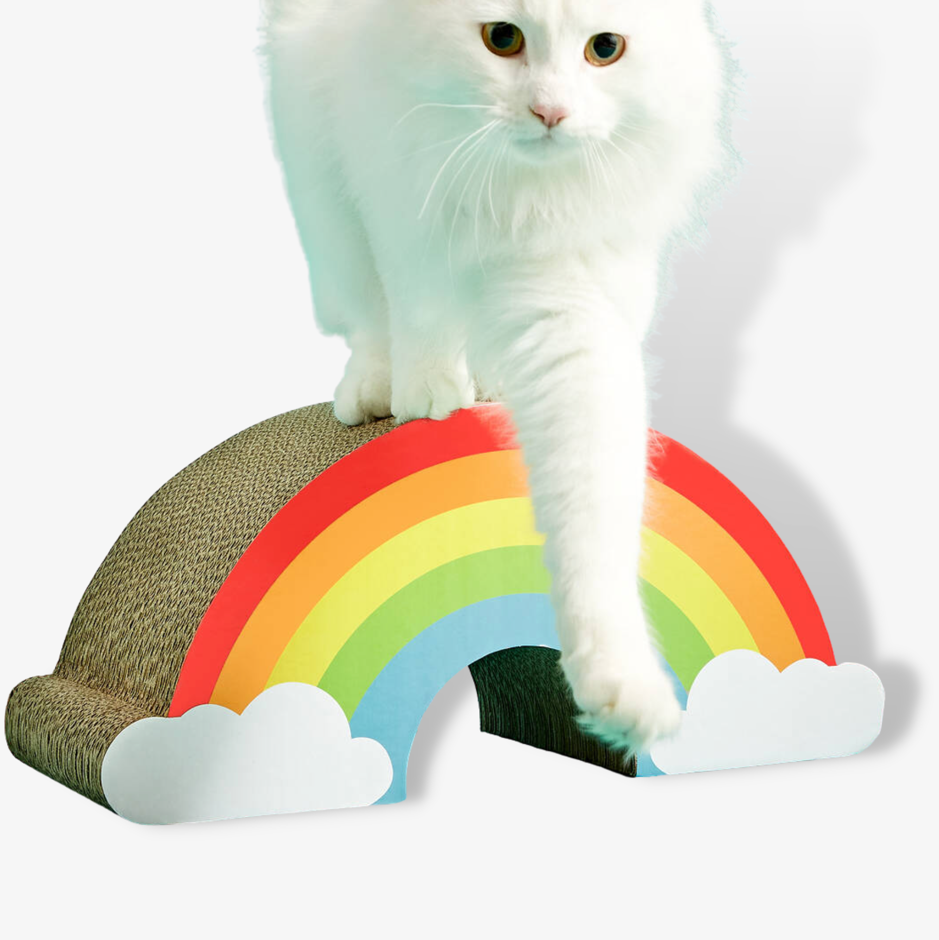 Fun Cat Scratch Rainbow