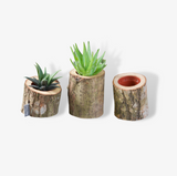A Set Of Three Freestanding Oak Bark Planters