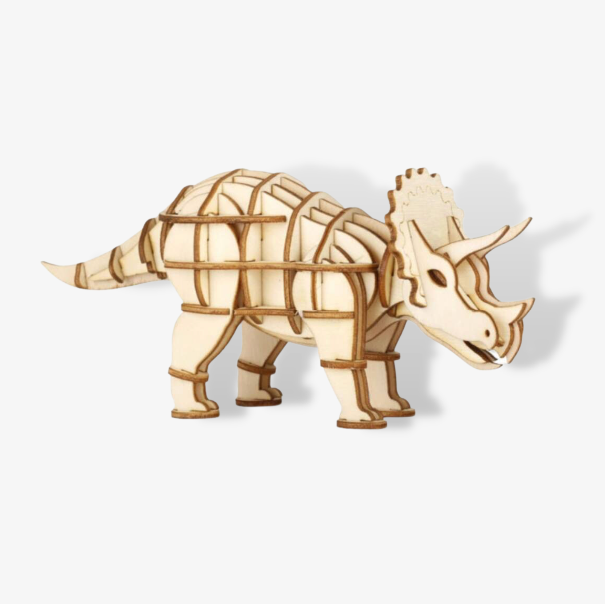 Dinosaur 3D Make It Your Self Puzzle