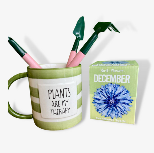 Plants Are My Therapy Mug Gift